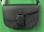 Dior camera bag