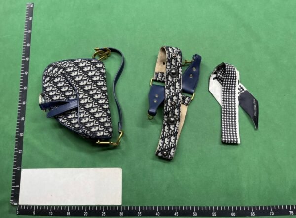 Dior camera bag