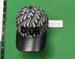 DIOR Fendi gucci cap