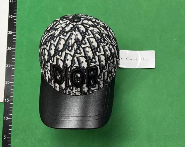 DIOR Fendi gucci cap