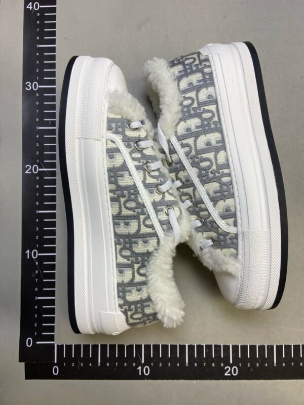 Dior Walk'n'Dior Shoes