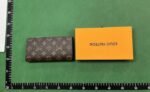 LV Louis Vuitton Wallet
