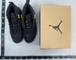 Jordan 12