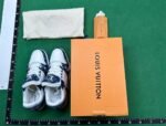 LV TRAINER SHOES