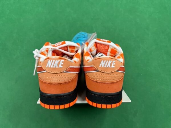 AY-DUNK B