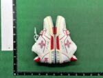 FS-LV Trainer