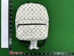 Louis Vuitton Backpack
