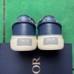 Dior B33