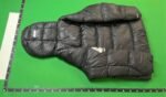 Palace Puffer