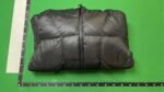 Palace Puffer