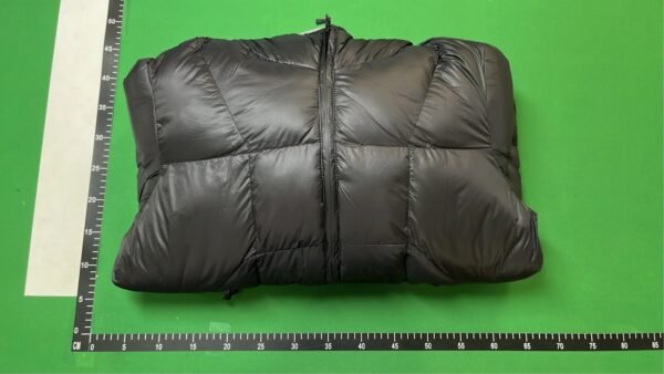 Palace Puffer