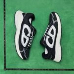 Dior B30