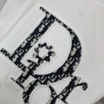 Dior Oblique T-Shirt [2 styles]