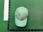 Gucci GG Supreme Cap [25 styles]
