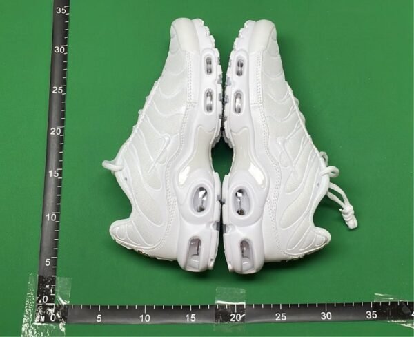 Nike Air Max Plus Sneakers [40 styles]