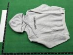 Carhartt Script Hoodie [6 styles]