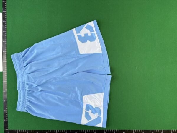 Nike College Basketball Shorts [10 styles]