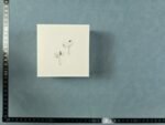 Apple AirPods Pro 4