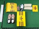 Gucci x Adidas Gazelle Sneakers [12 styles]
