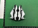 Dior B22 Sneakers [19 styles]