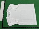 Ralph Lauren Polo Bear T-Shirt [10 styles]