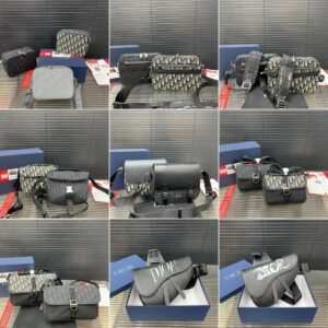 Dior Oblique Saddle Bags [40 styles]