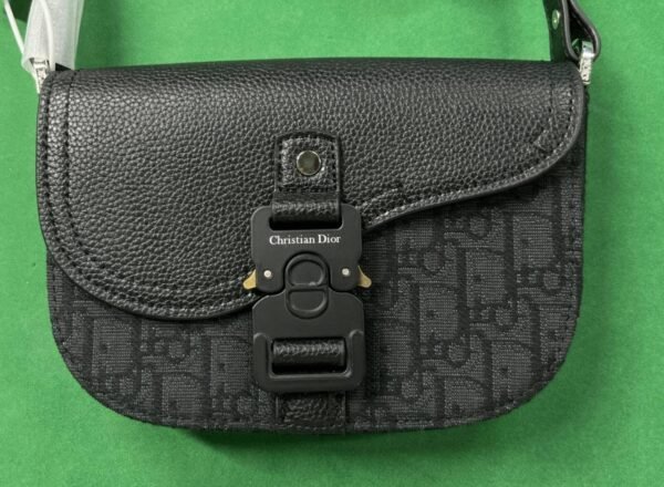 Dior Oblique Saddle Bags [40 styles]