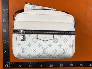Louis Vuitton Monogram Belt Bag [28 styles]