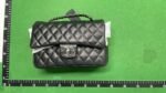 Chanel Classic Flap Bag [40 styles]