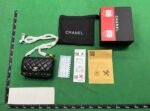 Chanel Classic Flap Bag [40 styles]